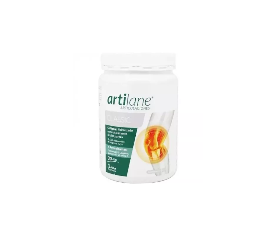 ARTILANE CLASSIC  POLVO ORAL 1 ENVASE 300 G